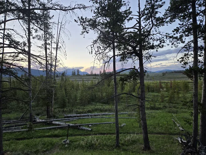 Bighorn Pass Campground 5