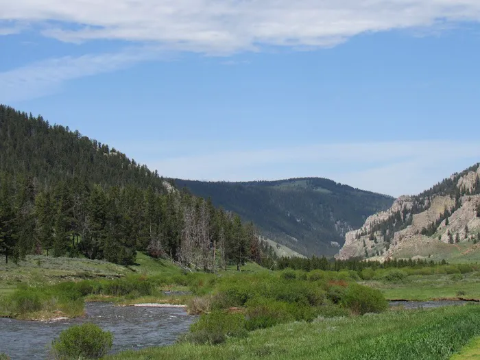 Gallatin River 0