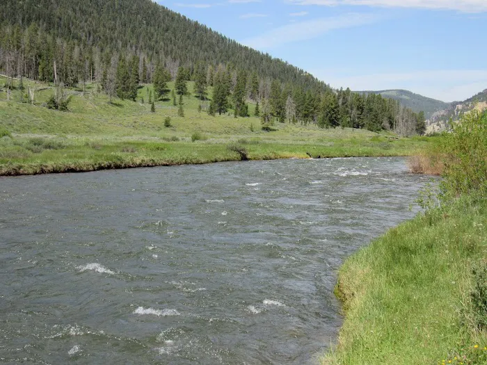 Gallatin River 1