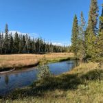 Firehole Springs