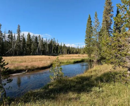 Firehole Springs