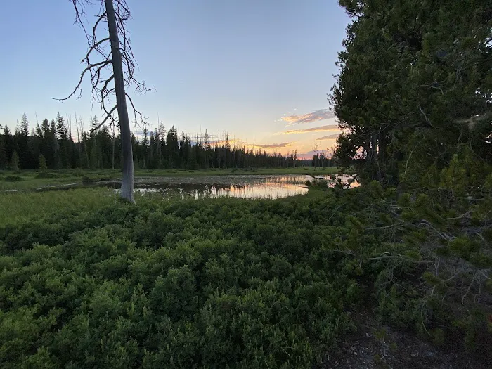 Basin Beach 3