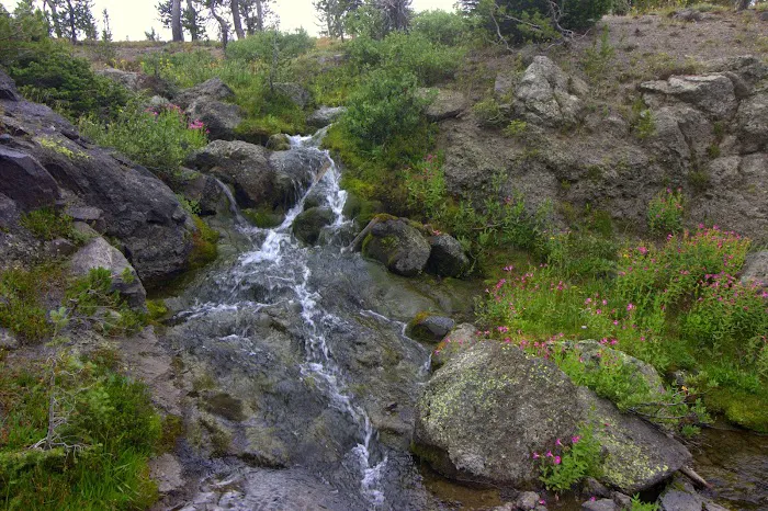 Douglas Knob Meadow 0