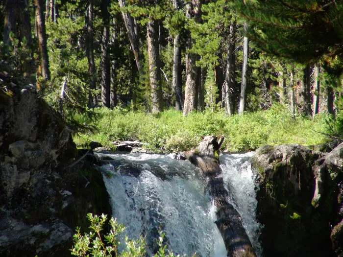 Firehole Falls Campground 2