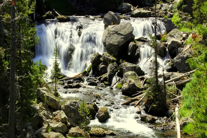 Firehole Falls Campground 4