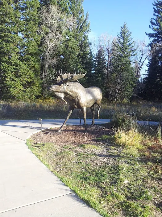 Moose Creek 1