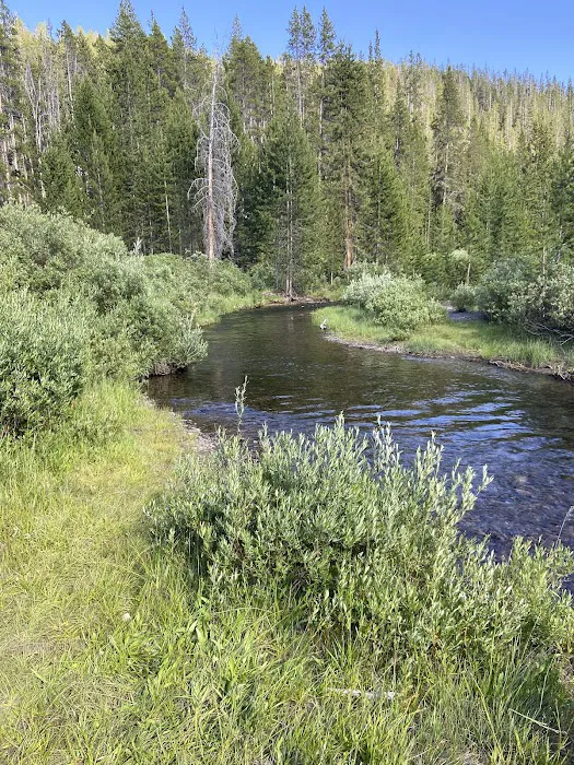 Moose Creek 2