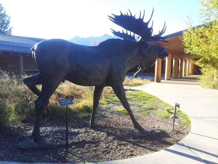 Moose Creek 3