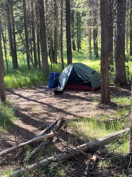 Moose Creek 5