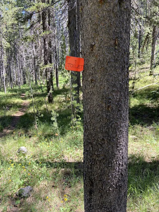 Moose Creek 6