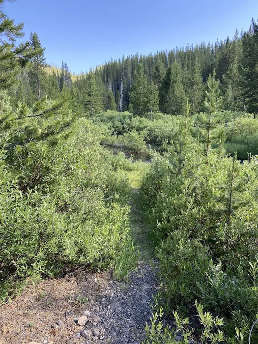 Moose Creek 8