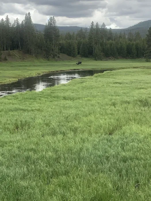 Moose Creek 9