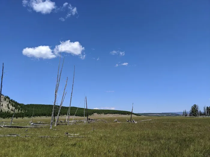 Imperial Meadows Campground 6