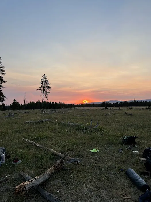 Imperial Meadows Campground 8