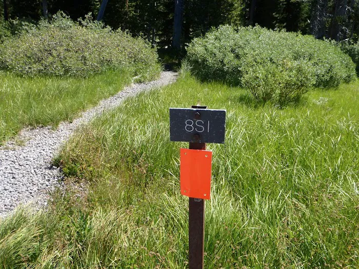 8S1 6