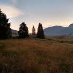 Upper Slough Creek 2S7