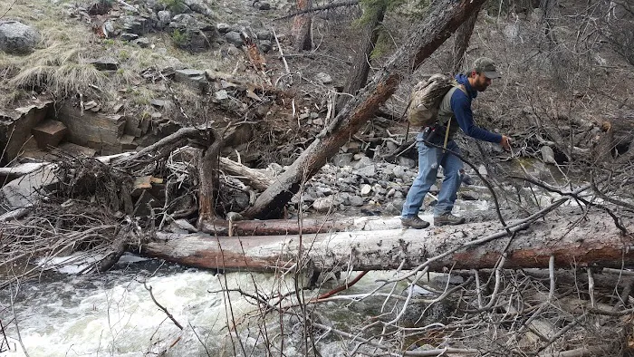 Hellroaring Creek 0
