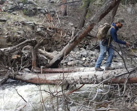 Hellroaring Creek