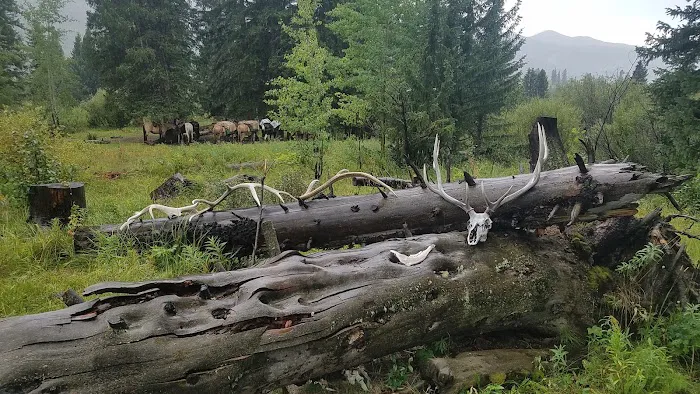 Upper Slough Creek 2S8 0