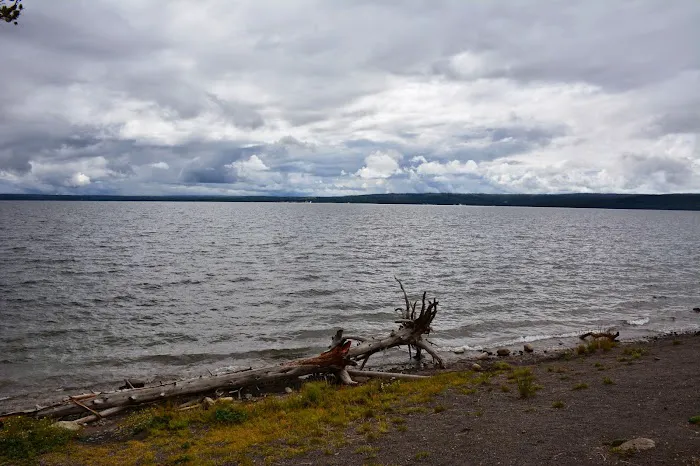 Midshore 1
