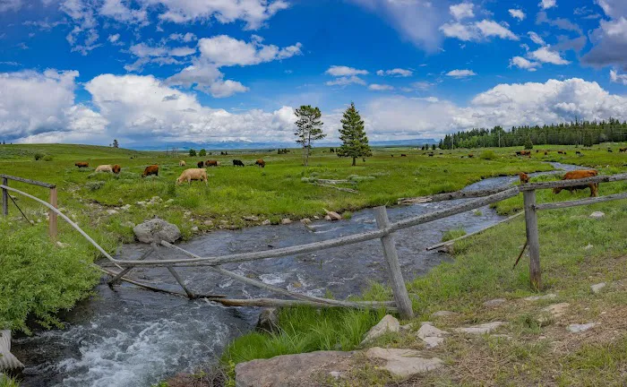 Yellowstone Park / Mountainside KOA Journey 6