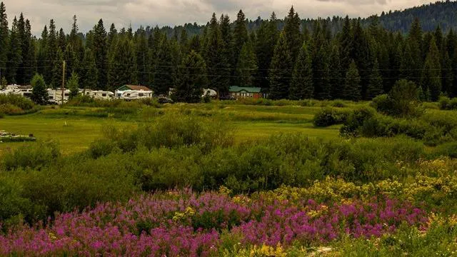 Yellowstone Park / Mountainside KOA Journey 5