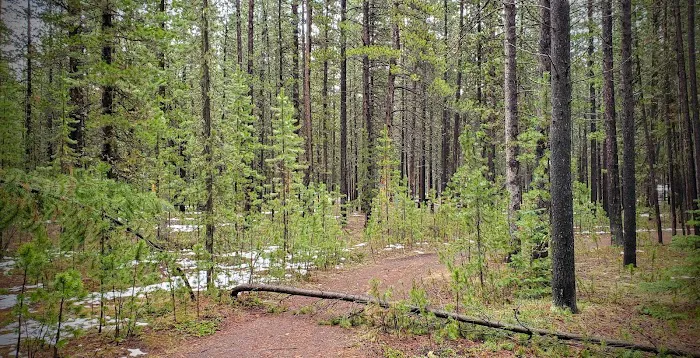 Rainbow Point Campground 6