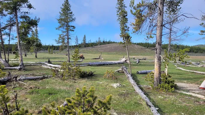 Sentinel Meadows East 0