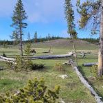 Sentinel Meadows East