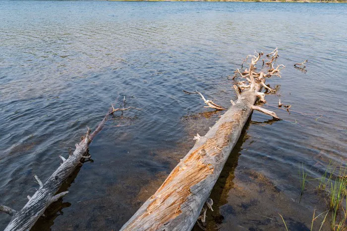 Ice Lake South 0