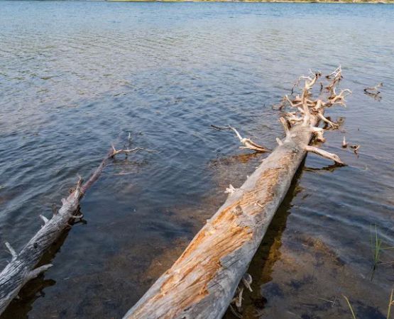 Ice Lake South