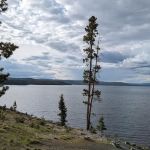 Grant Village Lakeshore Pavillion