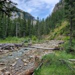 CABIN CREEK CAMPGROUND