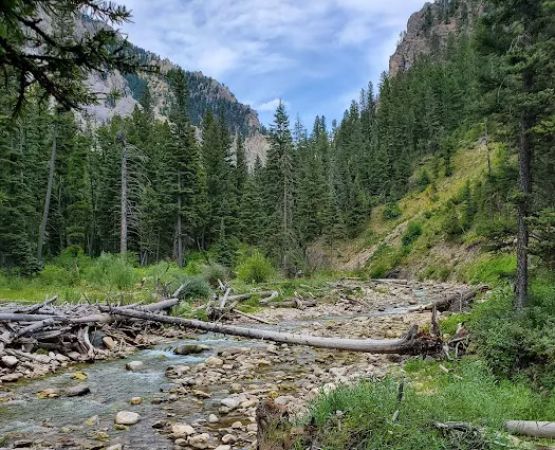CABIN CREEK CAMPGROUND