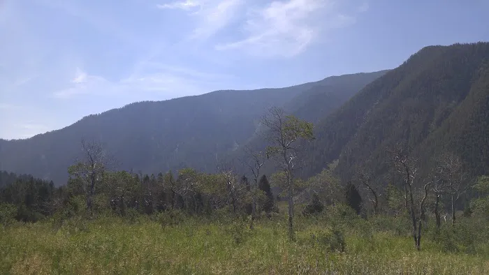 Beaver Creek Campground 6
