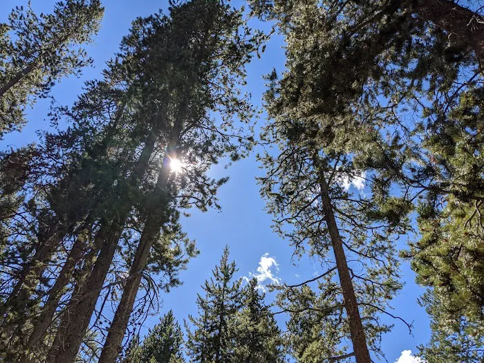 Beaver Creek Campground 8
