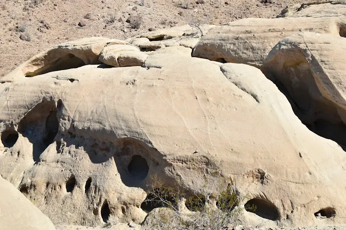Fish Creek Primitive Campground 9