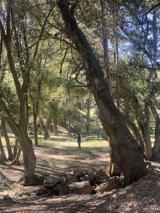 Los Coyotes Reservation Campground 1