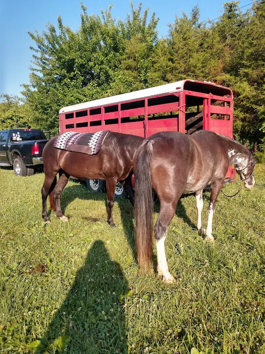 Reservoir horse trail camp 1