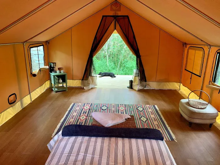 Cabin and Canvas 1