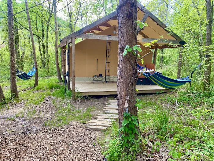 Cabin and Canvas 3