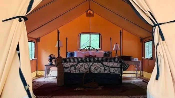 Cabin and Canvas 5