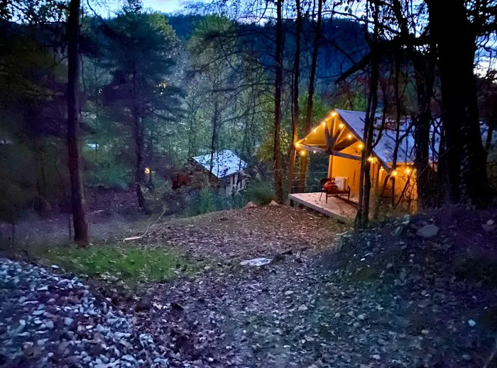 Cabin and Canvas 4