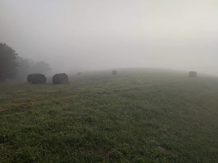Mandolin Farm Campground 6