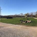 Rudy's Ranch-Mullins Stables Campground