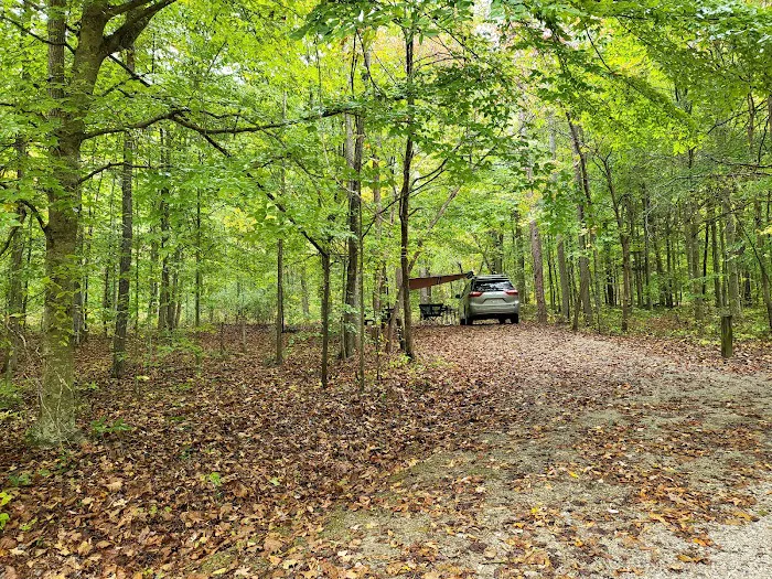 Clear Creek Campground 1
