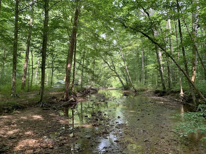 Clear Creek Campground 0