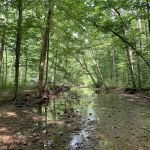 Clear Creek Campground