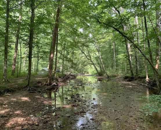 Clear Creek Campground