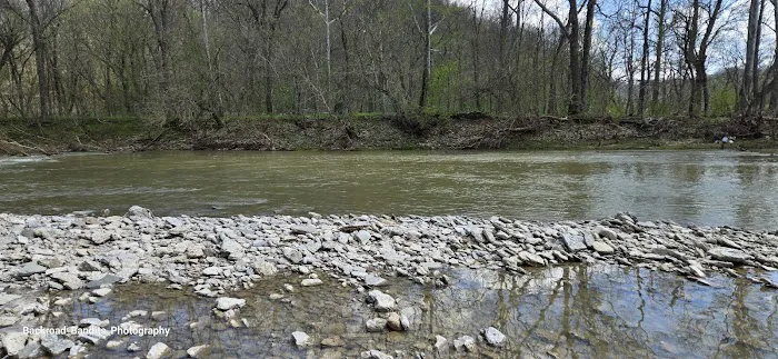 Callis Grove Campground 1